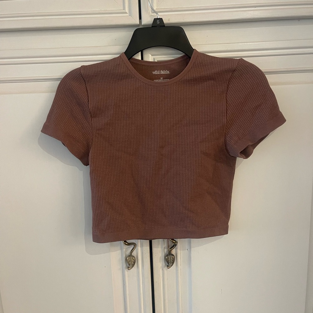 Wild Fable Women's Short Sleeve Cropped Tee in sparkly brown
